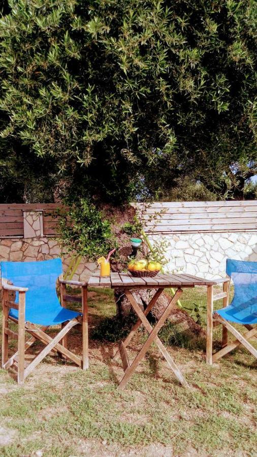 Villa Julia Tsilivi  Ngoại thất bức ảnh